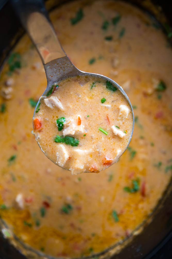 a spoonful of chicken curry.