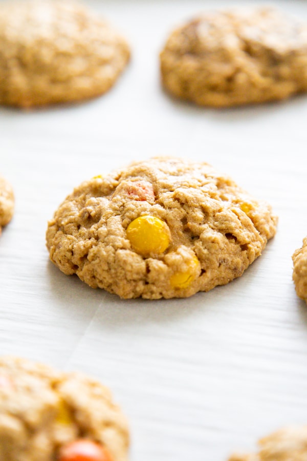 close-up photo of one cookie on parchment.