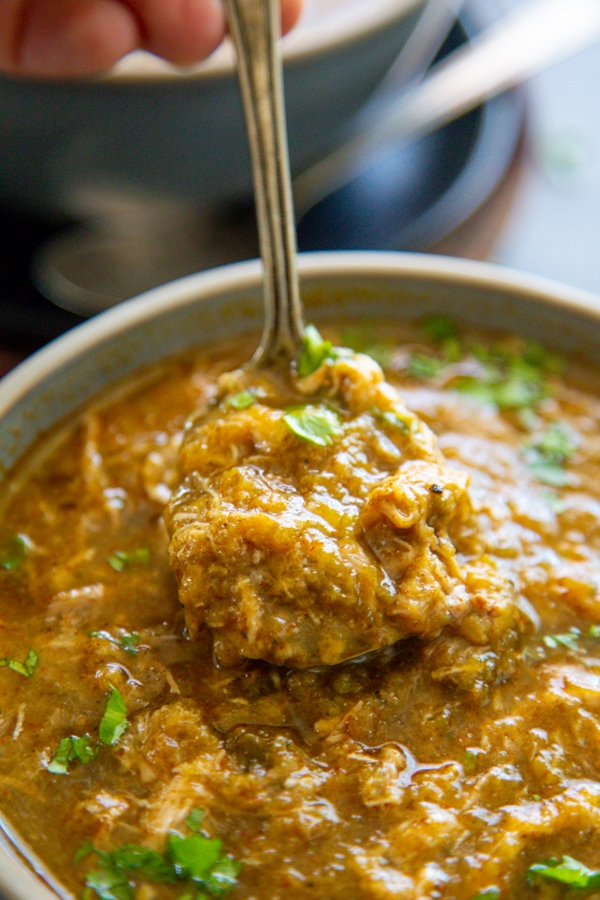 a spoonful of pork green chile.