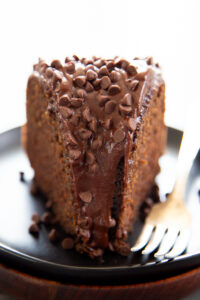 chocolate cake slice with chocolate chips on top