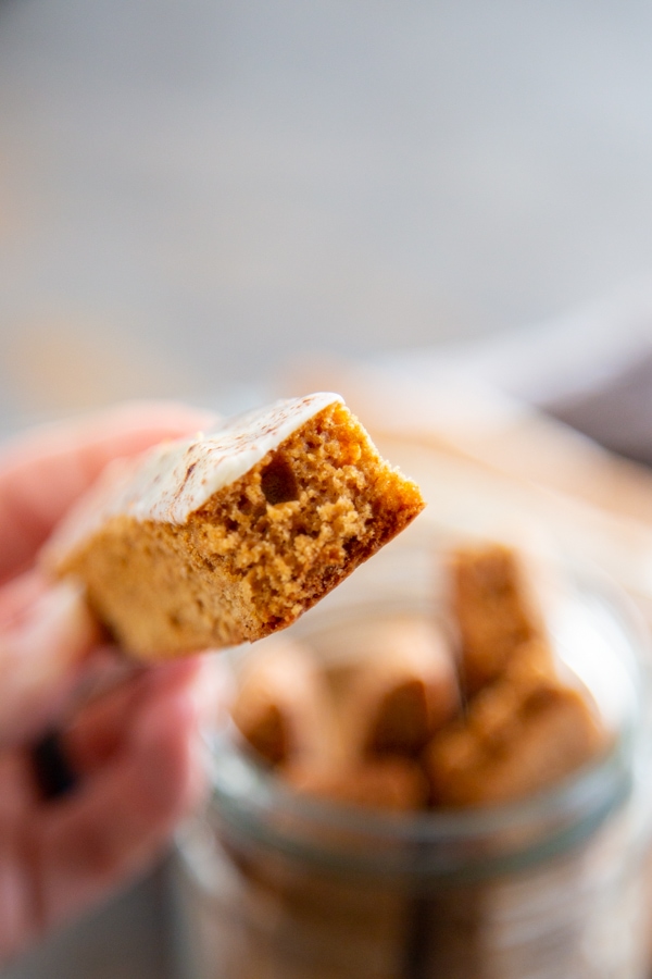 close-up shot of a cookie.