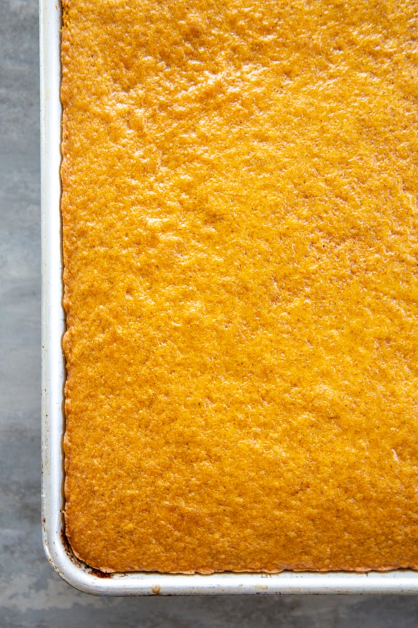 the baked bars in a pan.