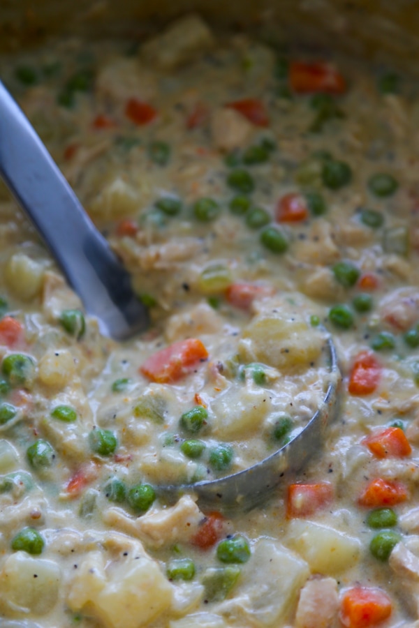 close-up of the soup in a pan with a ladle.