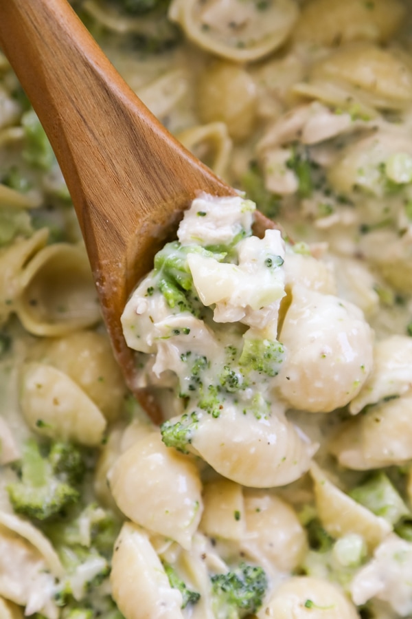 wooden spoon with Alfredo pasta shells with chicken and broccoli