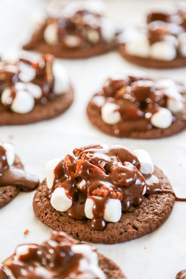 close-up shot of a cookie.