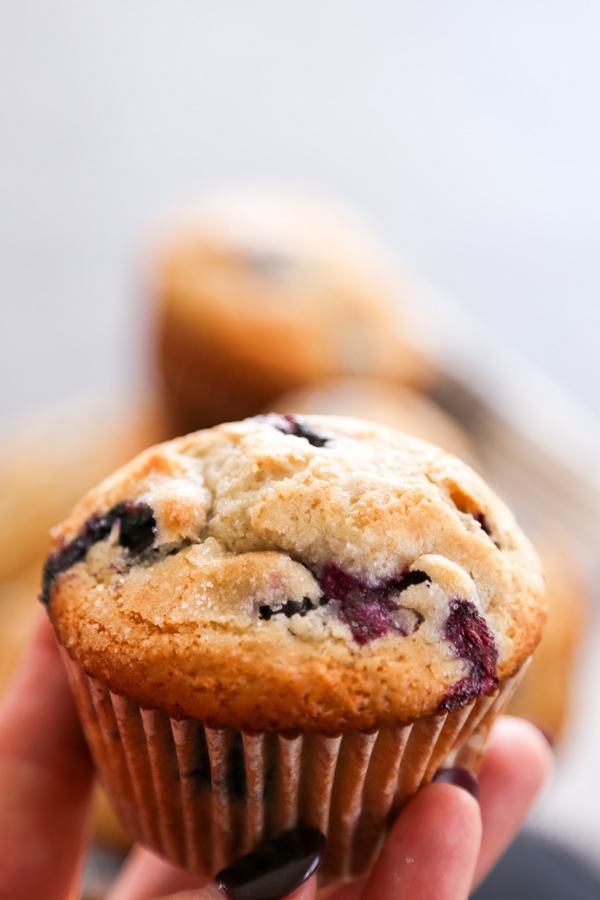 a hand holding a muffin.