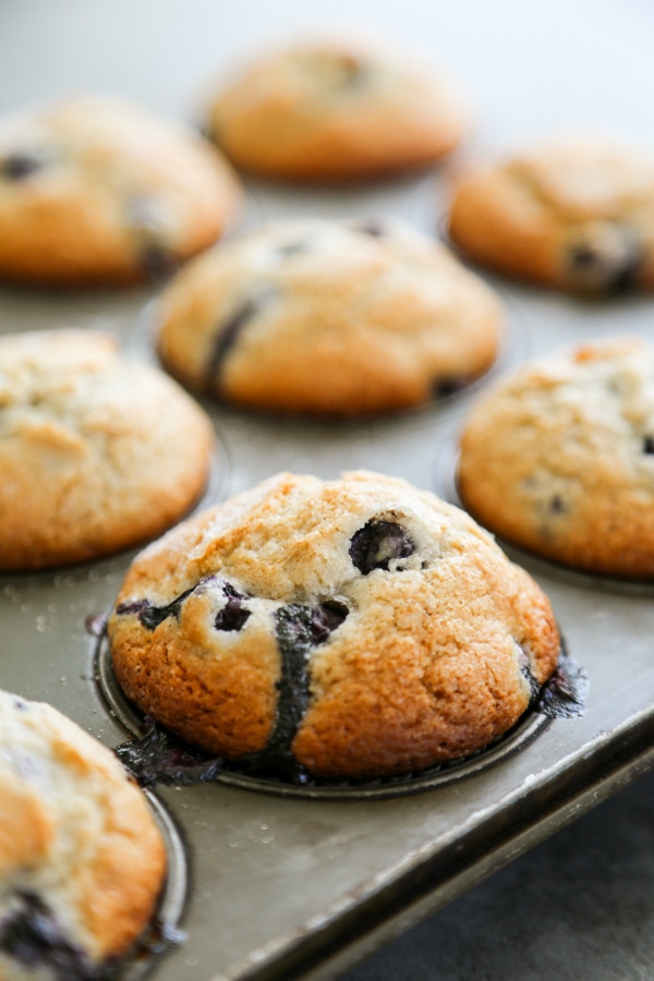 close-up shot of blueberry muffins in a pan.
