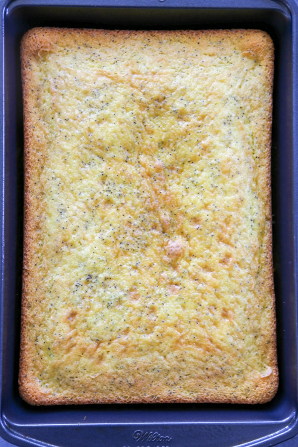 overhead shot of the baked cake in a pan.