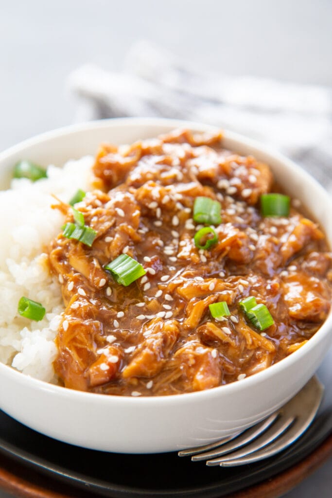close-up shot of a bowl of chicken teriyaki.