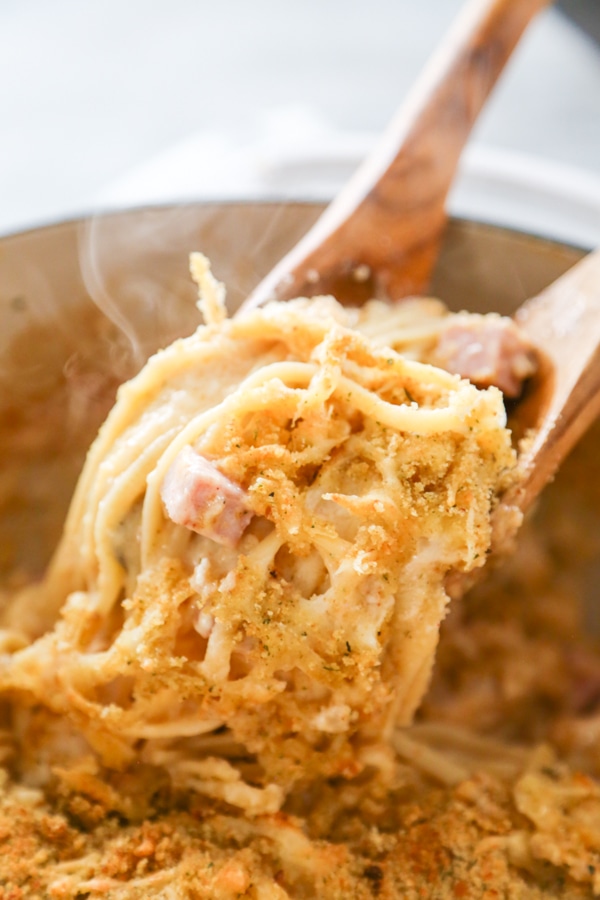 serving creamy chicken cordon bleu
