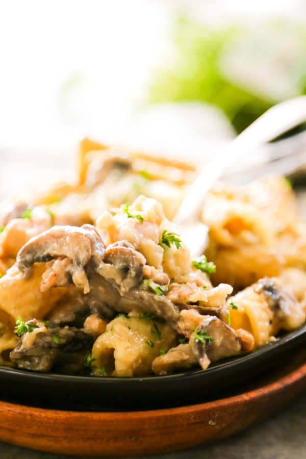 close up shot of a serving on a plate.