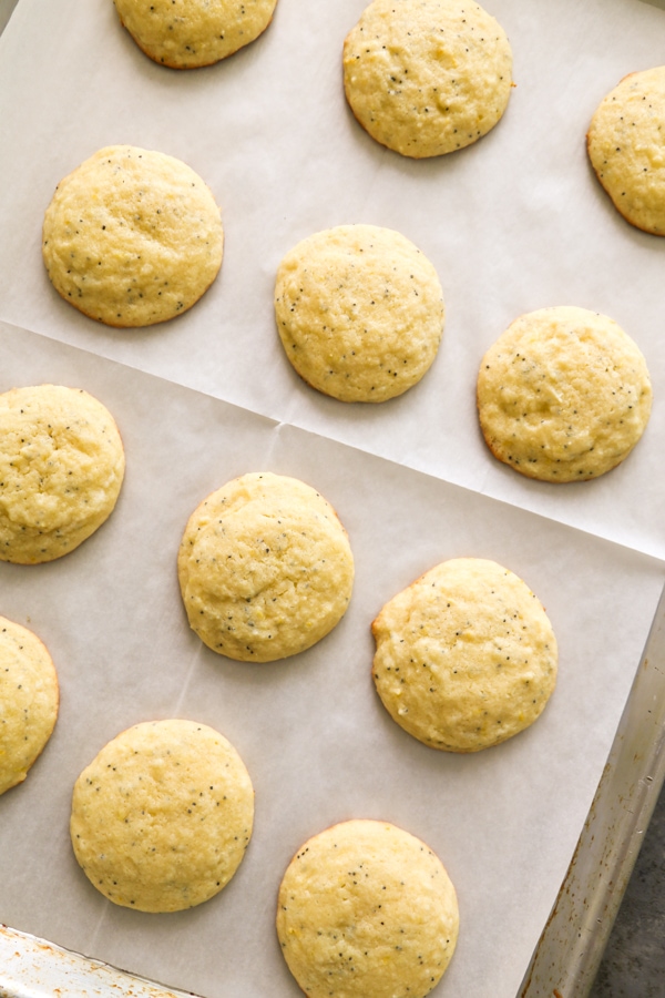 overhead shot of the baked cookies on a cookie sheet.