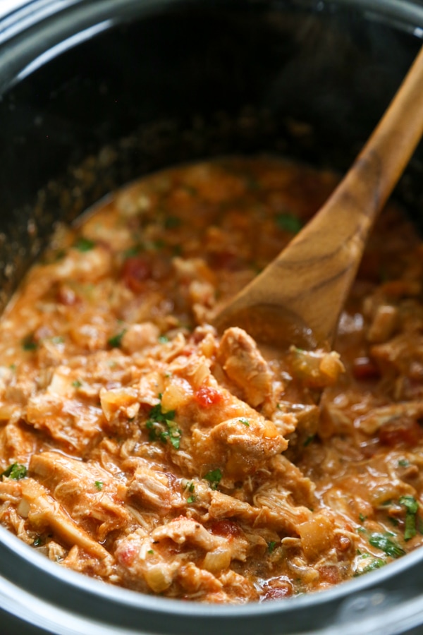 slow cooker Indian spiced chicken.