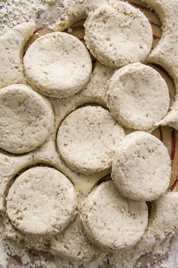 the dough cut outs.