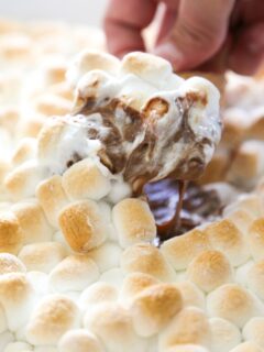 the dip being scooped with a graham cracker.