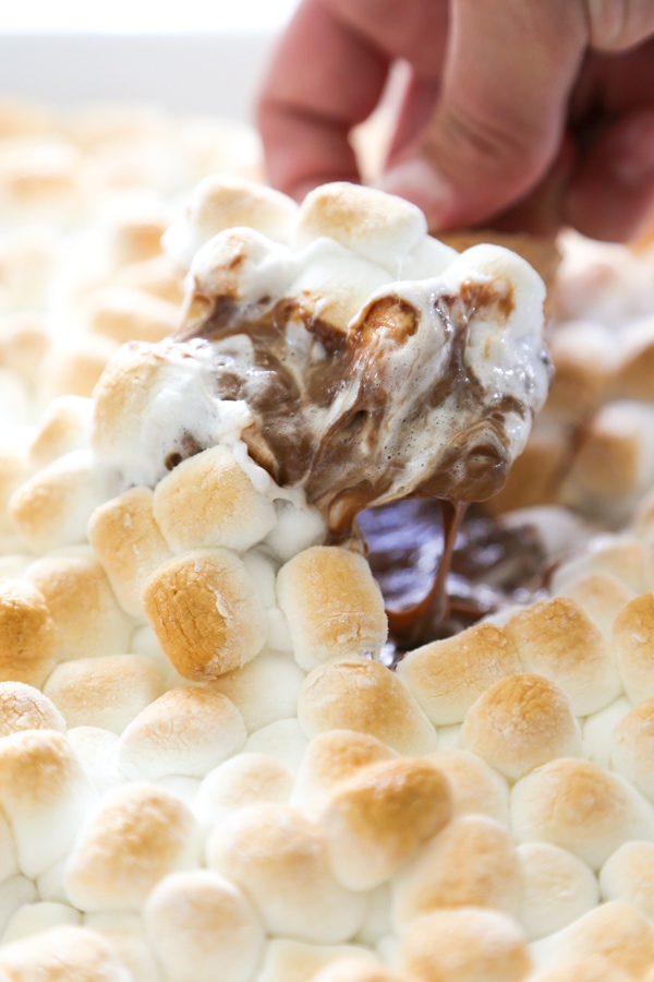 the dip being scooped with a graham cracker.