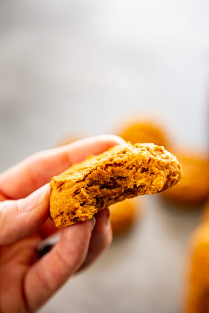 pumpkin cookie with bite out of it