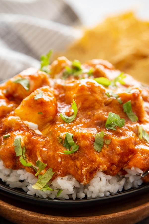 salsa chicken served over white rice topped with cilantro