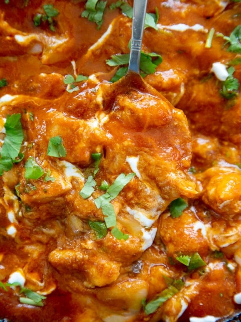 overhead shot of enchilada chicken