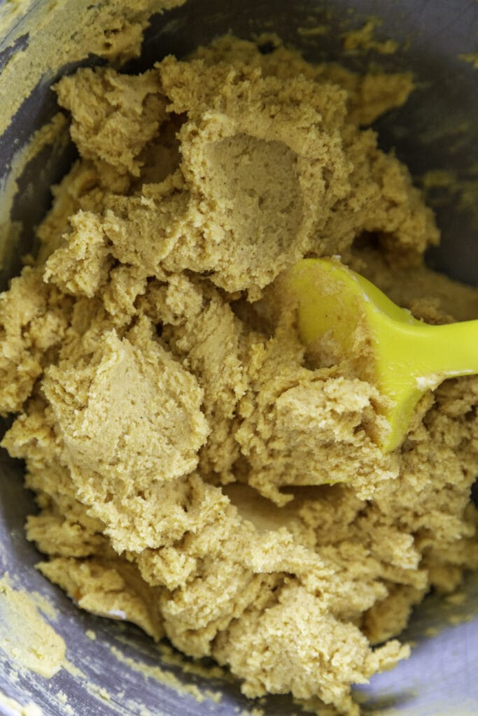 pumpkin cookie dough