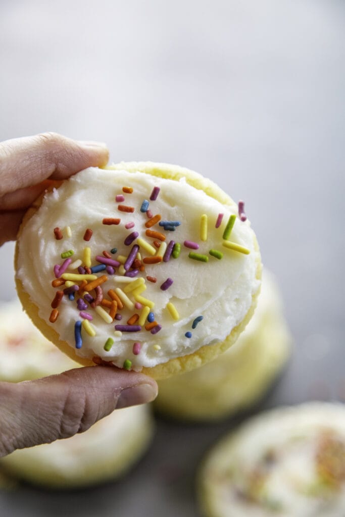 hand holding a frosted sugar cookie with sprinkles