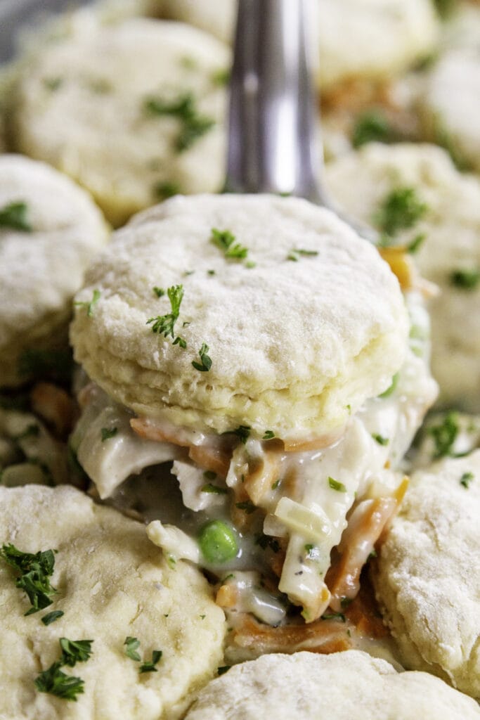 close up shot biscuit and chicken pot pie