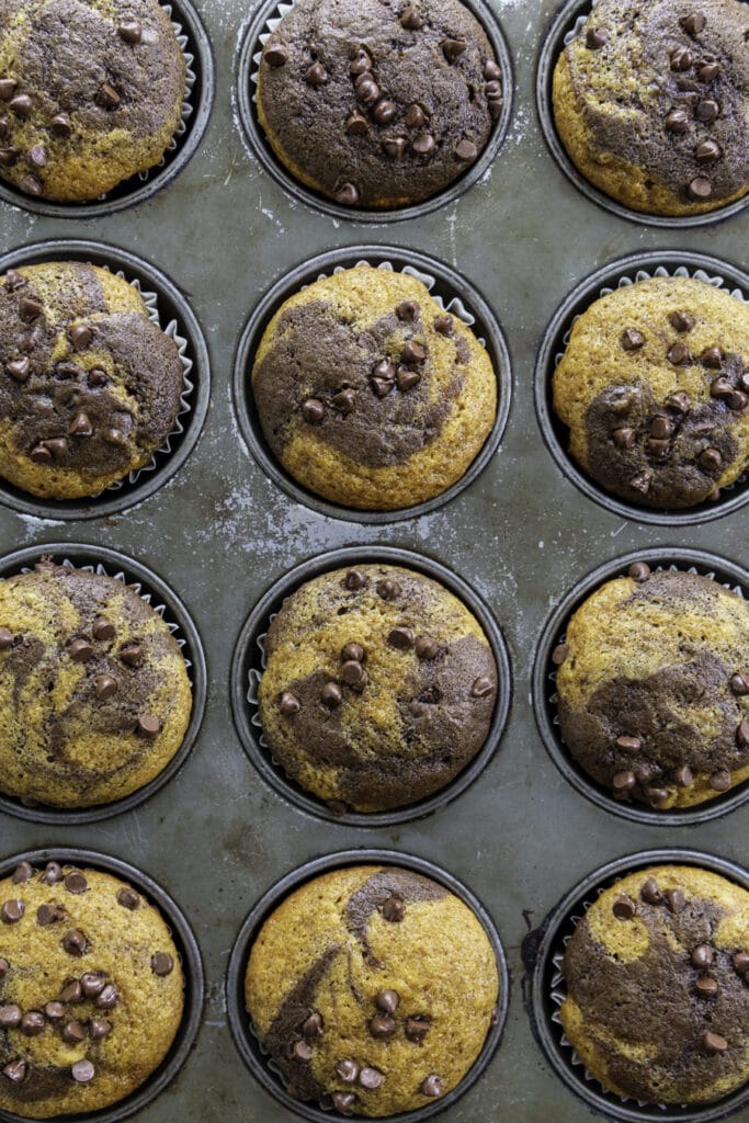 overhead shot of pumpkin chocolate swirl muffins baked in pan
