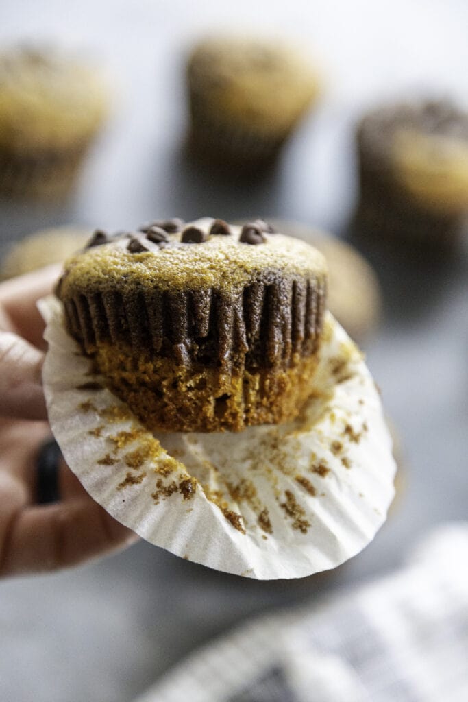 close up shot of chocolate pumpkin swirl muffin