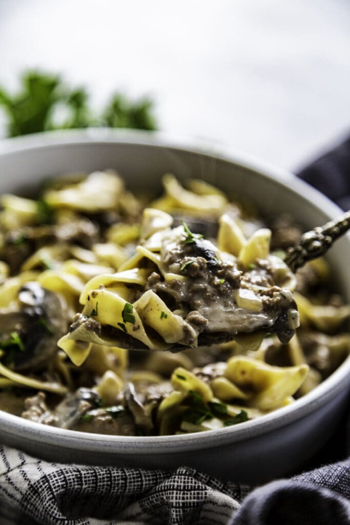 bowl with beef stroganoff in bowl