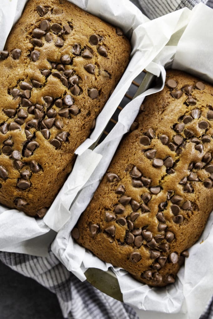pumpkin chocolate chip bread loaves in bread pans
