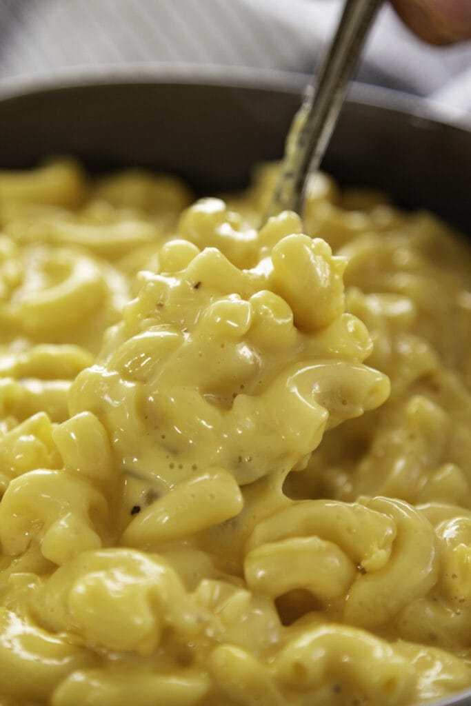 mac and cheese in bowl with fork