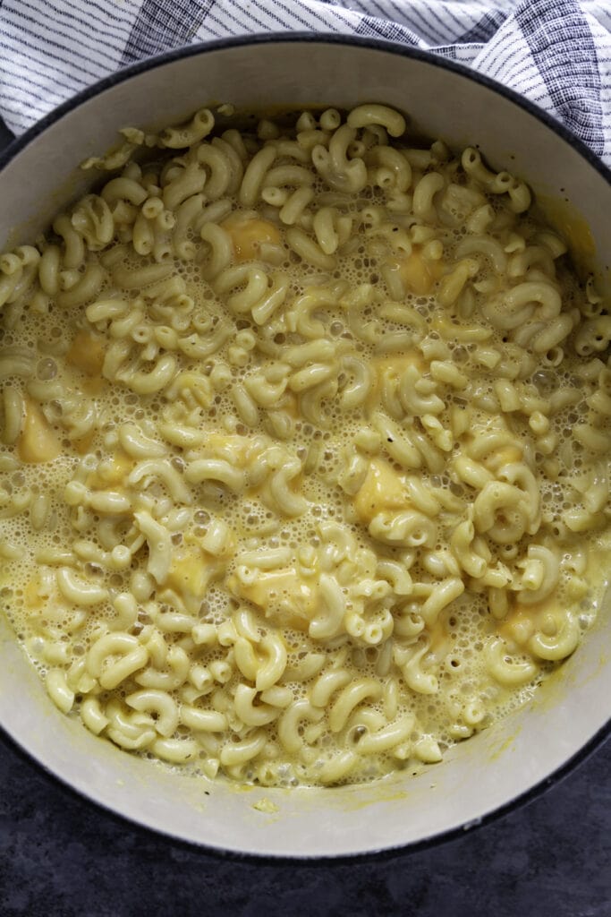 pot of noodles with cheese and milk