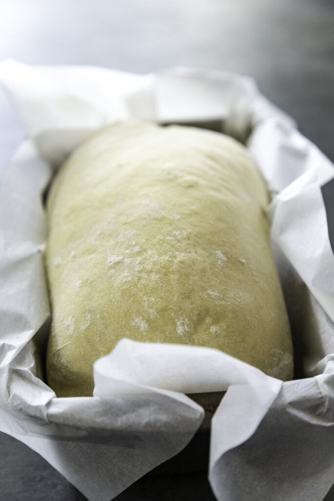 bread dough in pan rising