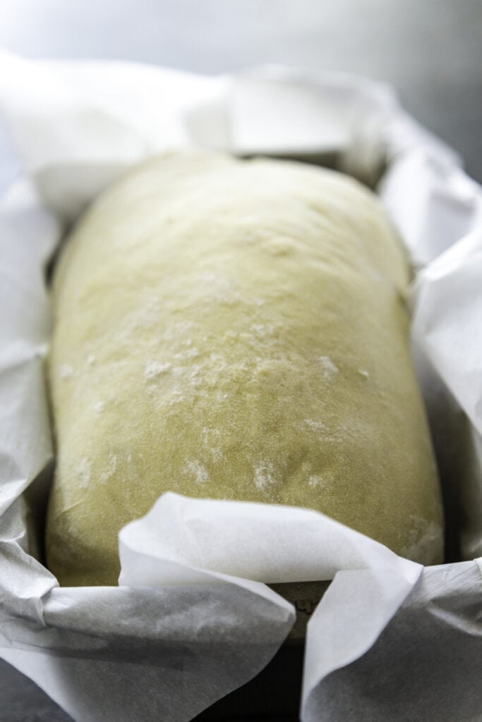 bread dough in pan rising