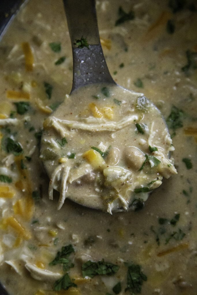 ladle of white chicken chili