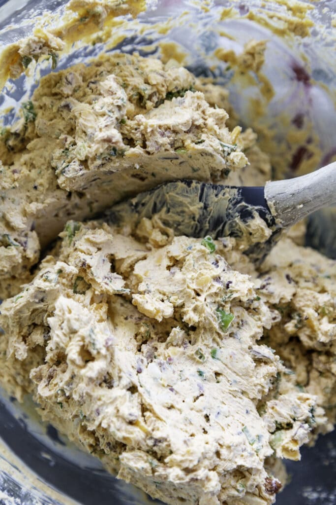 cream cheese bacon green onions and seasonings