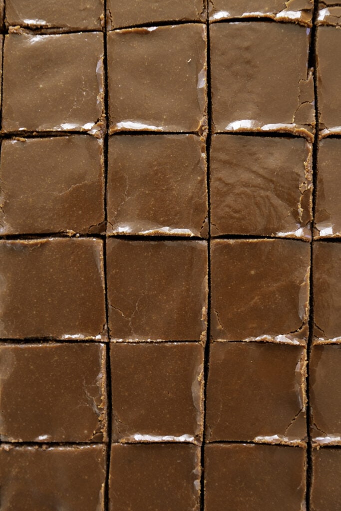 overhead shot of frosted brownies