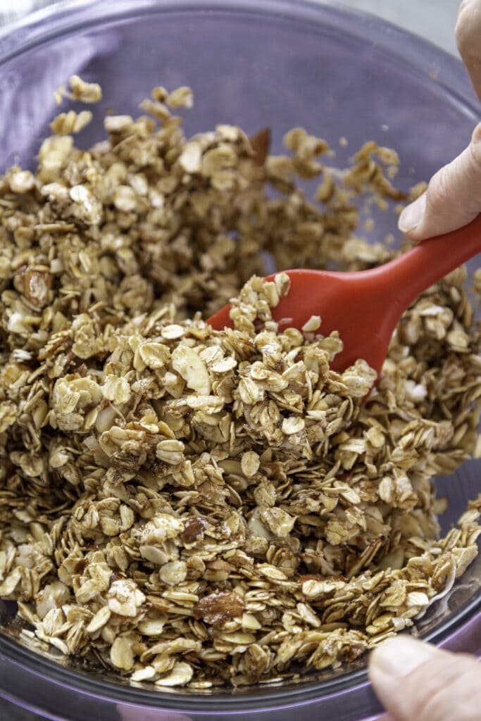 overhead shot of bowl with oats and nuts