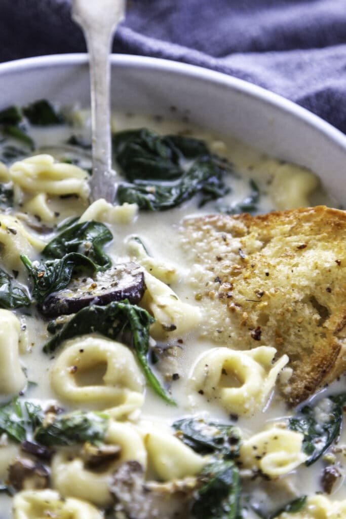 bowl of creamy tortellini soup with spoon