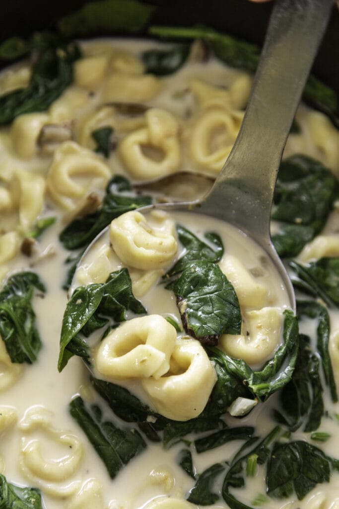 ladle of tortellini soup