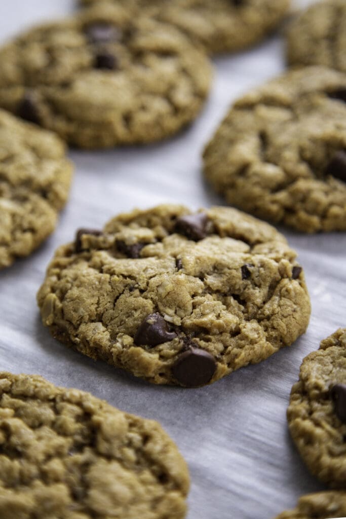 chocolate peanut butter oatmeal cookies on pan