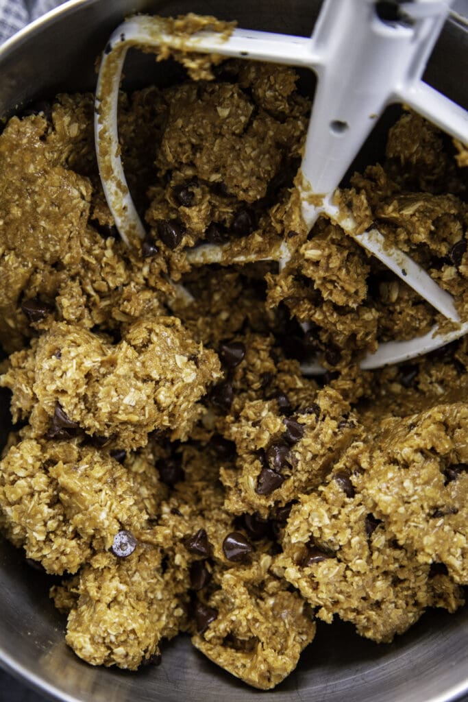 chocolate chip oatmeal peanut butter cookie dough