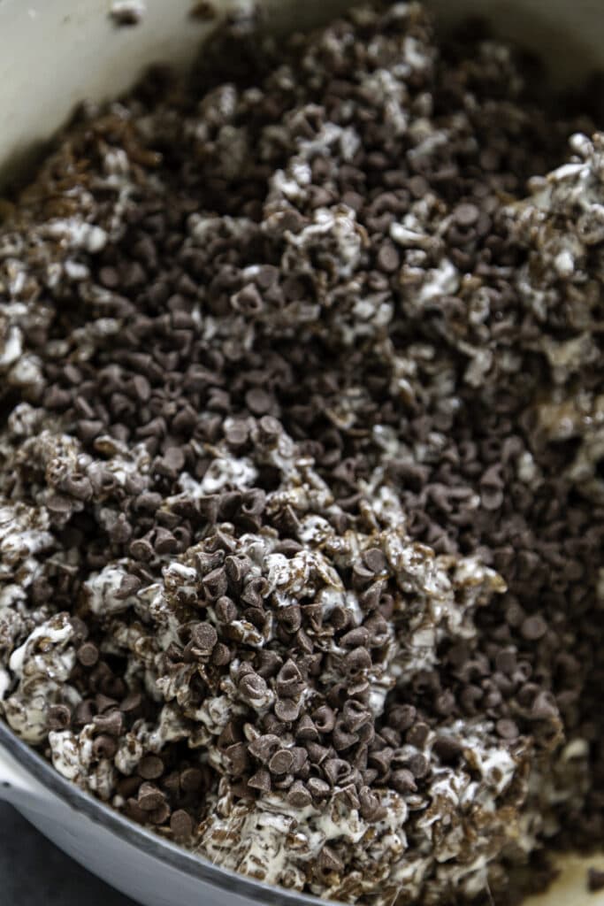 mini chocolate chips with cocoa kripsies and melted marshmallows