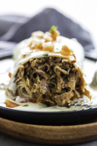 burrito shredded pork with sauce