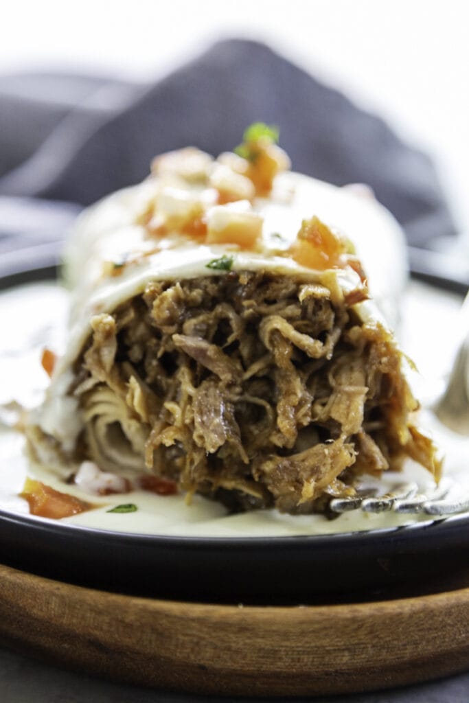 burrito shredded pork with sauce