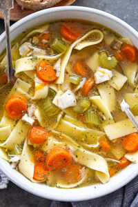 Instant Pot Chicken Noodle Soup
