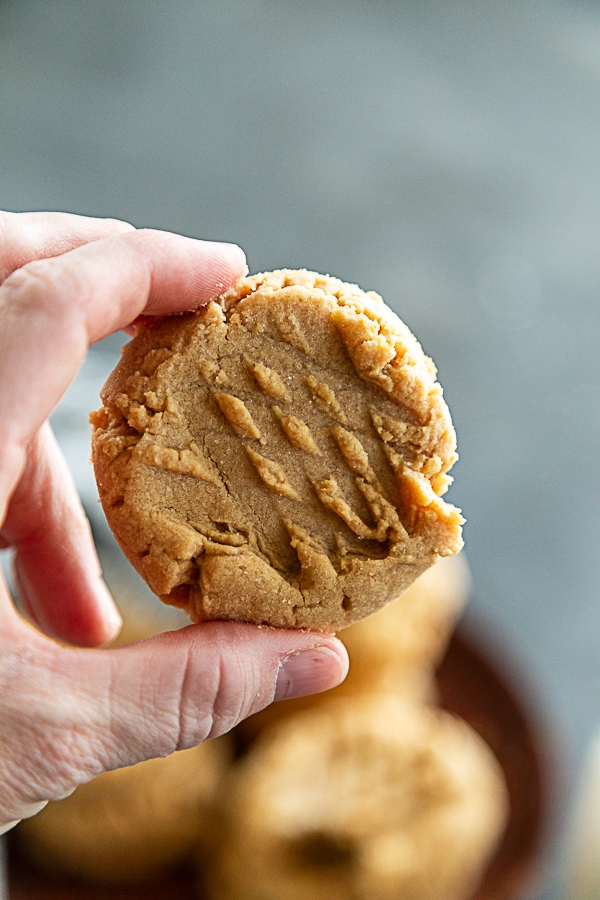 hand holding peanut butter cookie