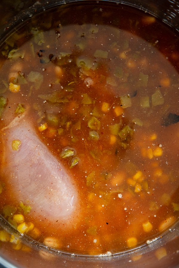 instant pot overhead shot with chicken breast and chili