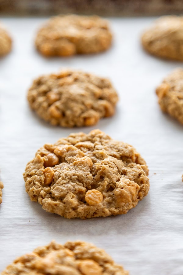 baked cookies on cookie sheet