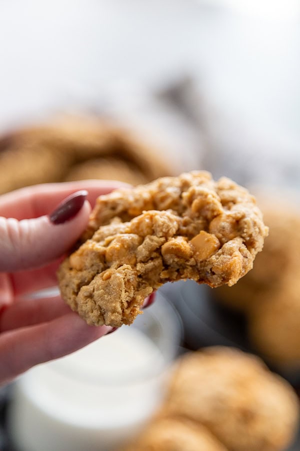 hand holding cookie
